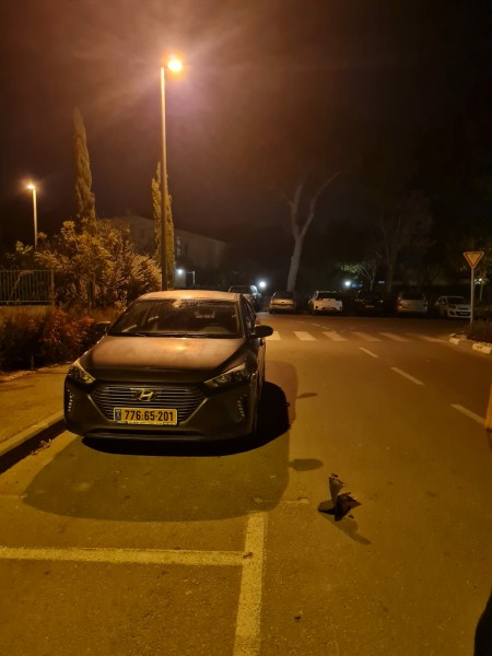 on-road-small.jpg